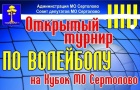 XIX открытый Кубок МО Сертолово по волейболу