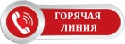 «Горячая линия» во Всеволожской городской прокуратуре 10.12.2018 г.  