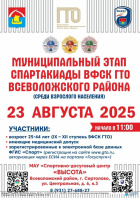 Спартакиады ВФСК ГТО.