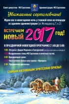 ВСТРЕЧАЕМ НОВЫЙ 2017 ГОД.