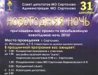 НОВОГОДНЯЯ НОЧЬ!