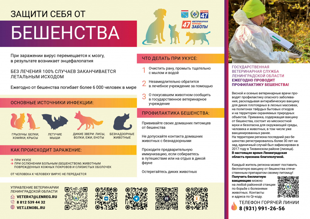Бешенство Сторона 1.jpg Бешенство Сторона 1.jpg