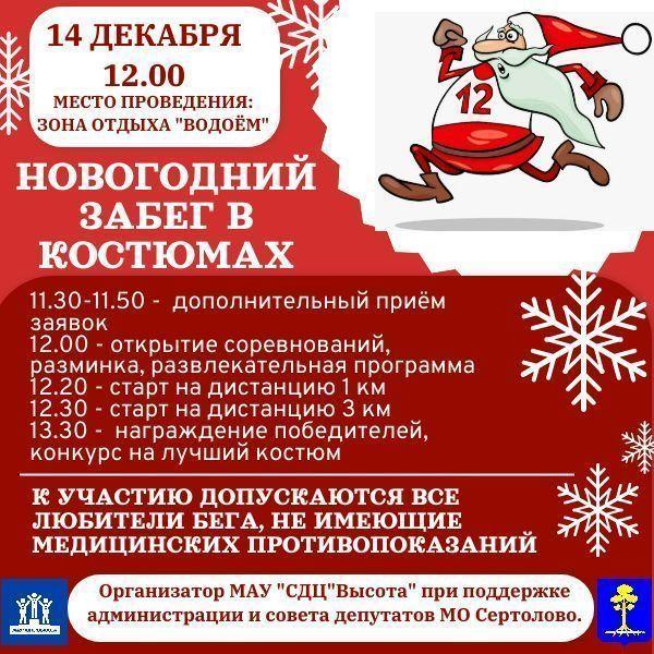 Новогодний забег в костюмах.jpg