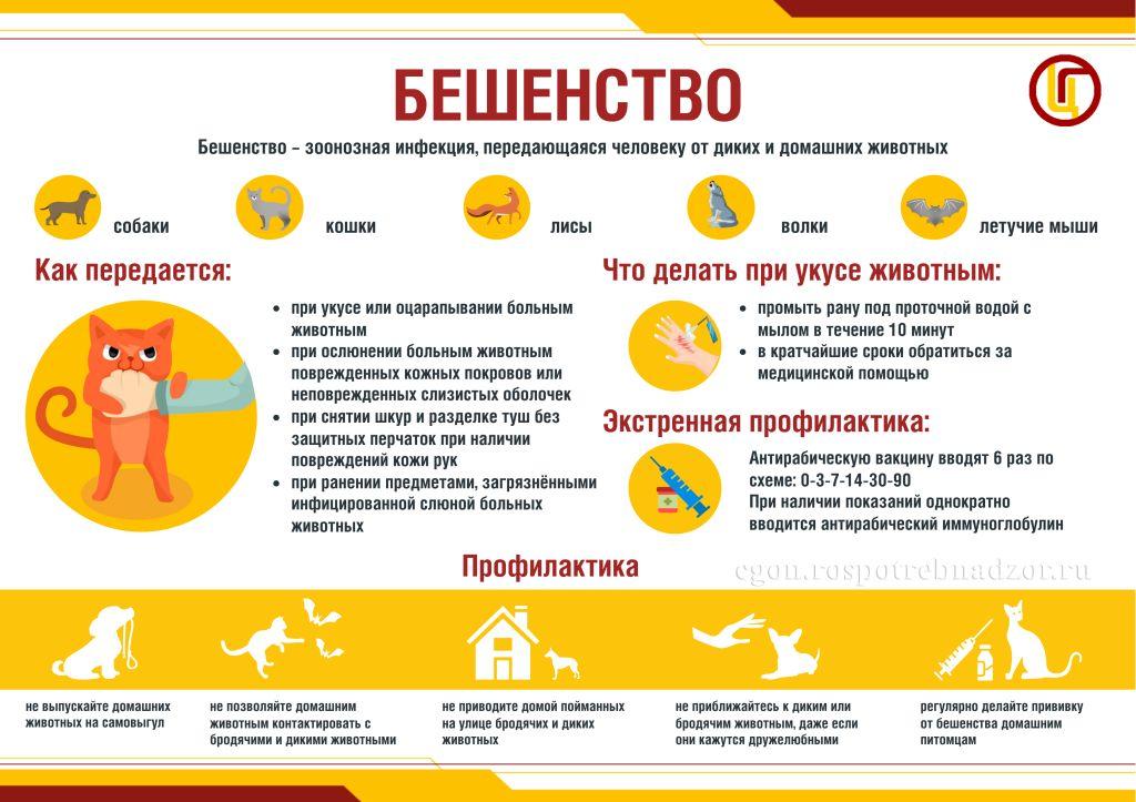Бешенство__.jpg Бешенство__.jpg