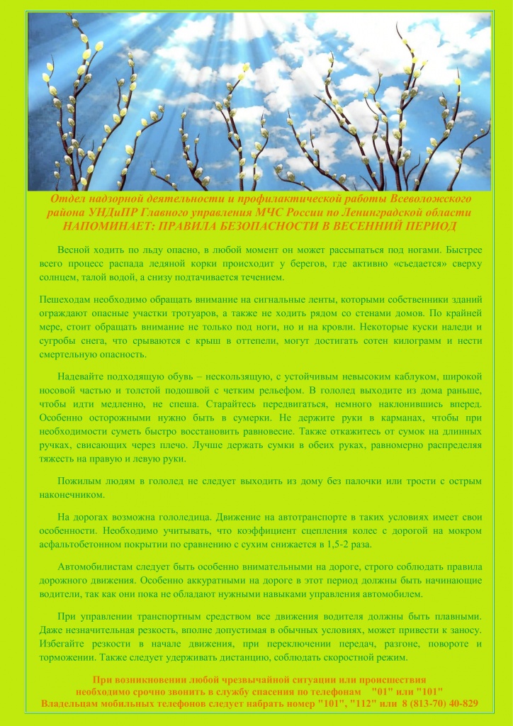 ПРАВИЛА БЕЗОПАСНОСТИ В ВЕСЕННИЙ ПЕРИОД (pdf.io).jpg