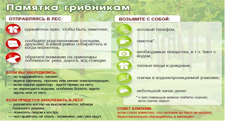 грибники.png
