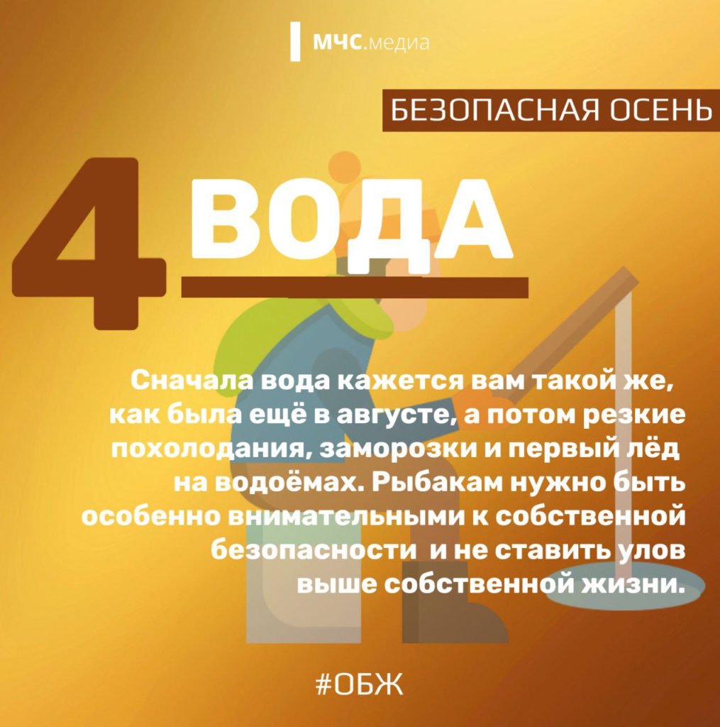 5.jpg 5.jpg