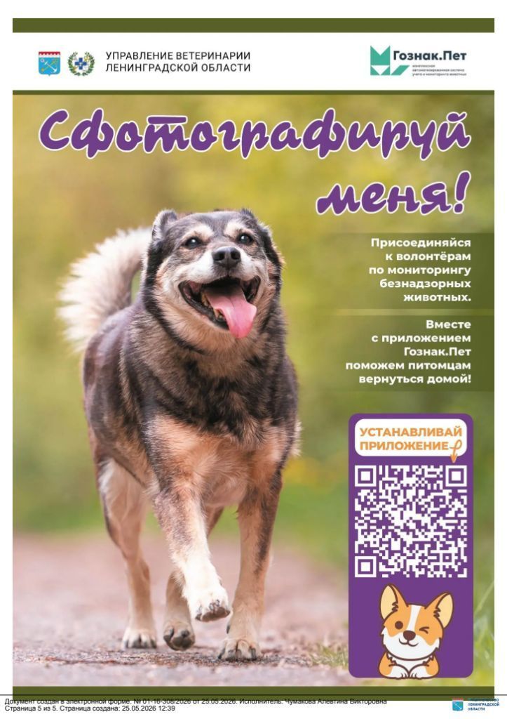giv26.jpg giv26.jpg
