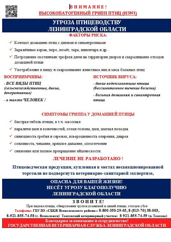 гриппПтиц.jpg