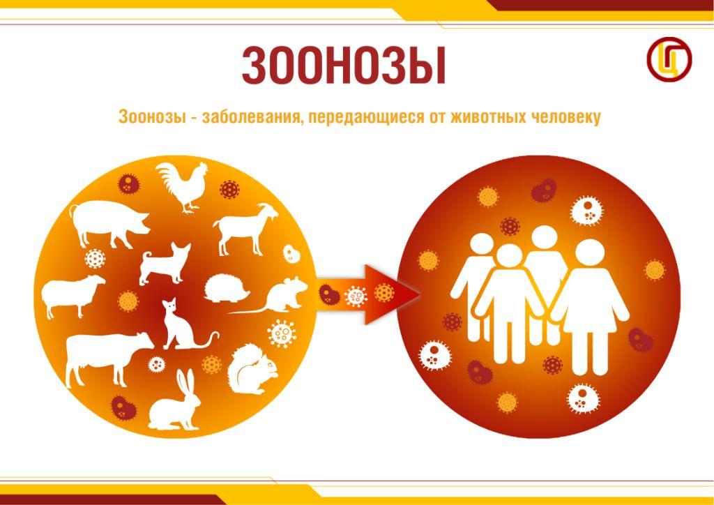 Зоонозы_.jpg Зоонозы_.jpg